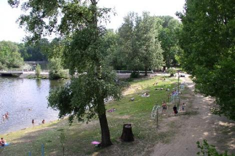 Tőserdő